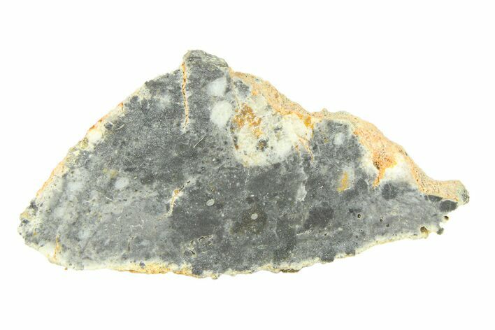 Lunar Meteorite ( g) Slice - Bechar #291685